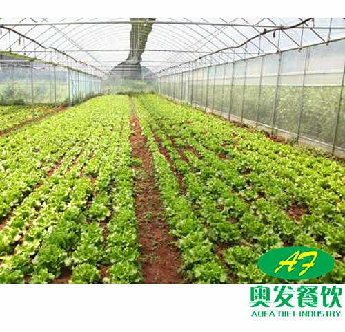 武漢學(xué)校食堂承包工作應(yīng)該如何做到更好？