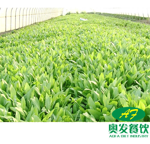 武漢蔬菜配送時(shí)要注意什么？